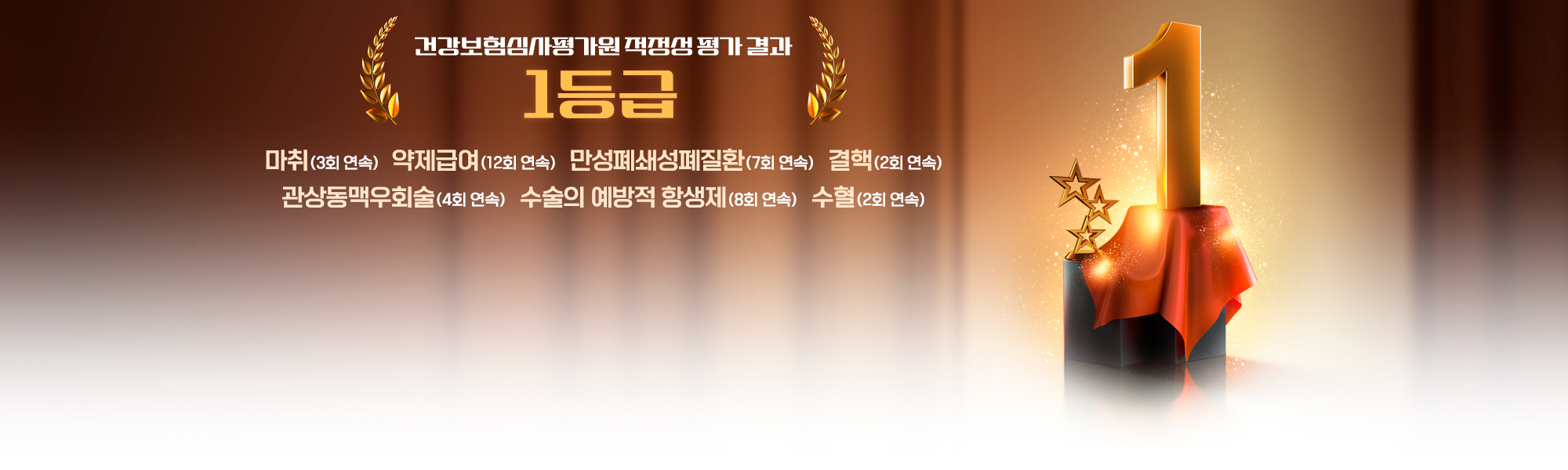 건강보험심사평가원 적정성 평가 결과 1등급