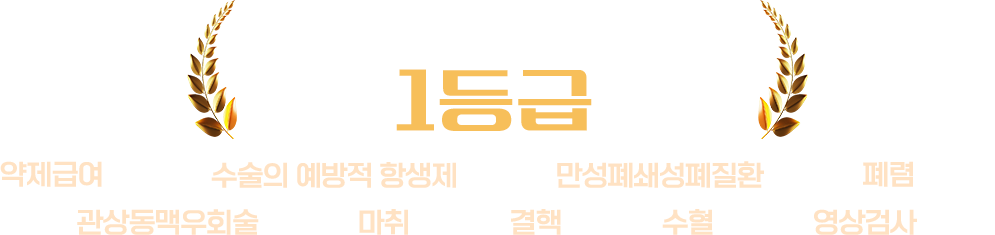 건강보험심사평가원 적정성 평가 결과 1등급